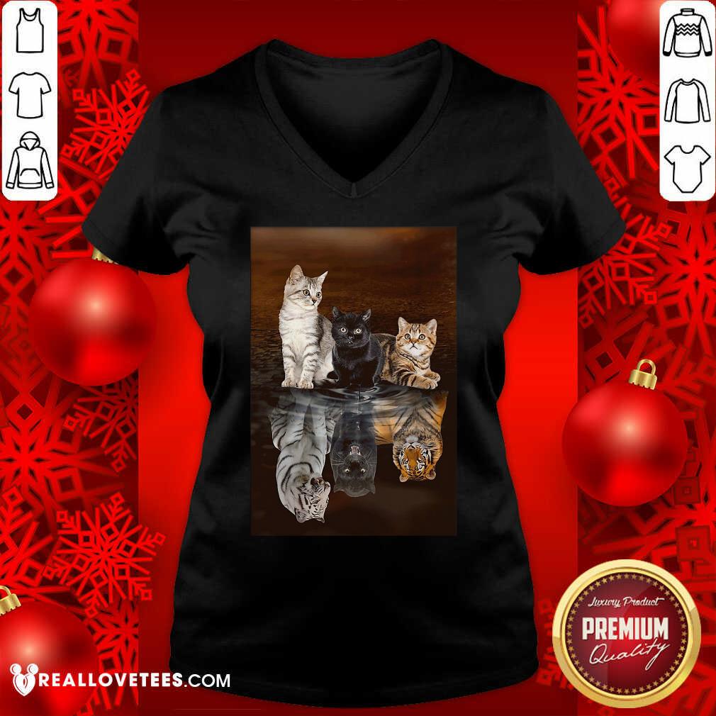 Funny Three Cat Tiger Reflections 5d Diamond Diy Shirt - Image 5