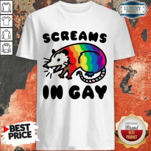 Lgbt Opossum Screams In Gay Shirt