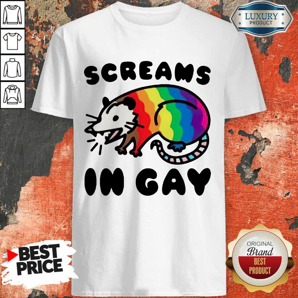 Lgbt Opossum Screams In Gay Shirt