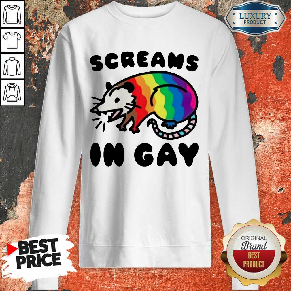 Lgbt Opossum Screams In Gay Shirt - Image 5