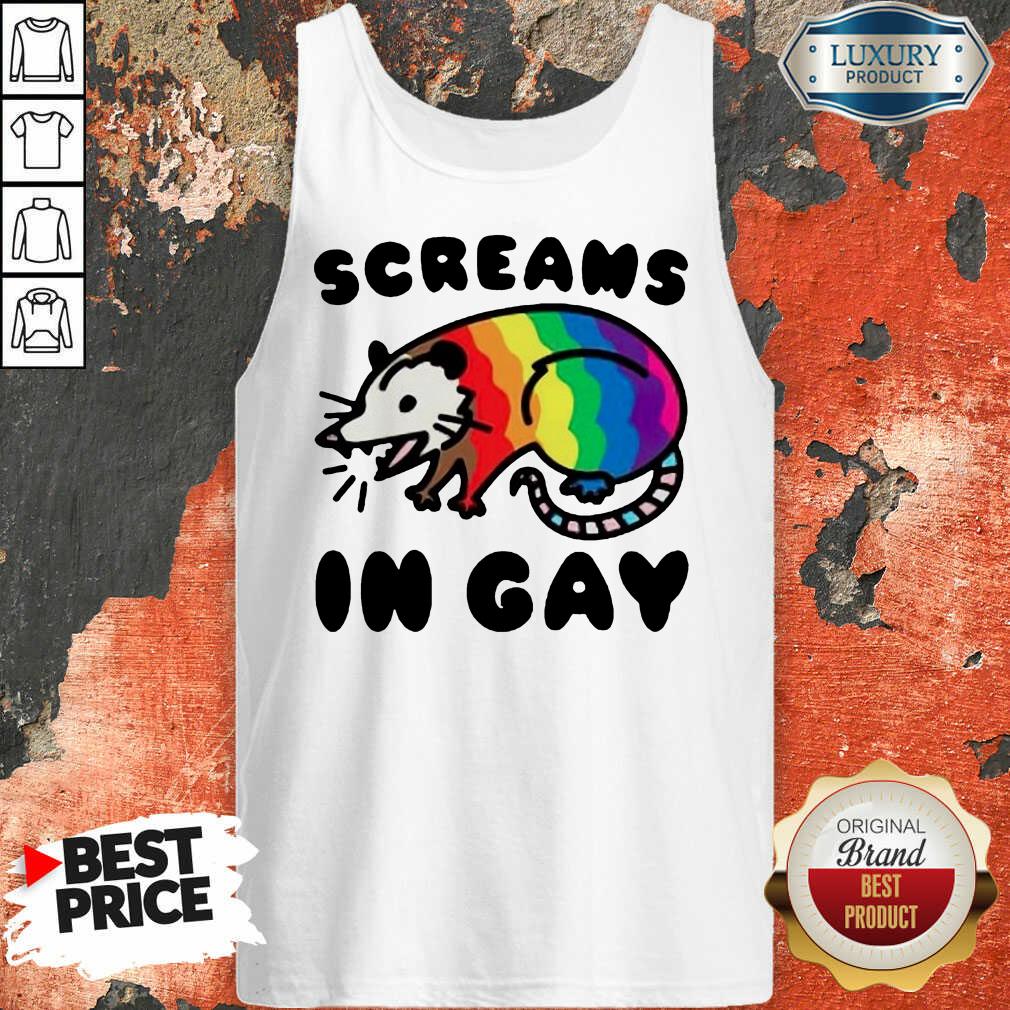 Lgbt Opossum Screams In Gay Shirt - Image 4