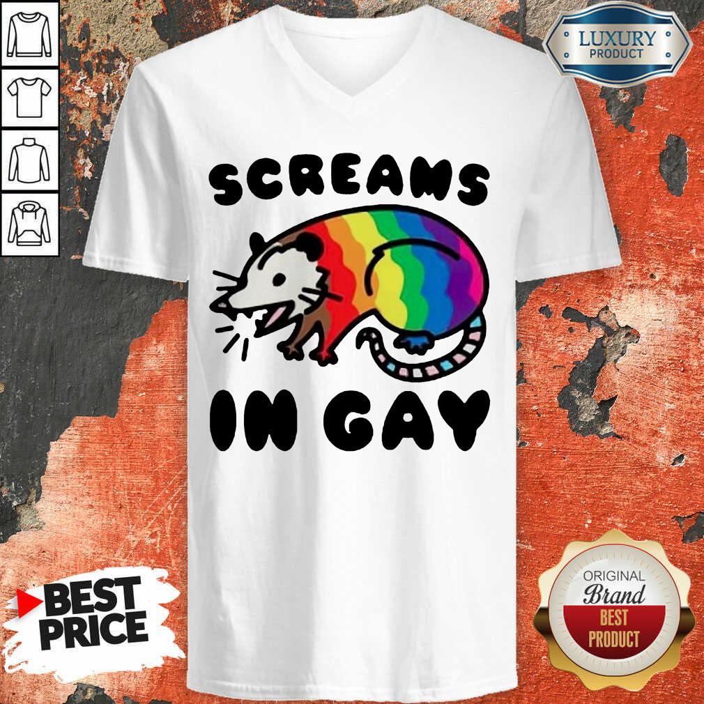 Lgbt Opossum Screams In Gay Shirt - Image 3