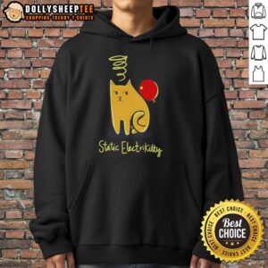 Alternative view of Awesome Cat Balloon Static Electricity T-Shirt