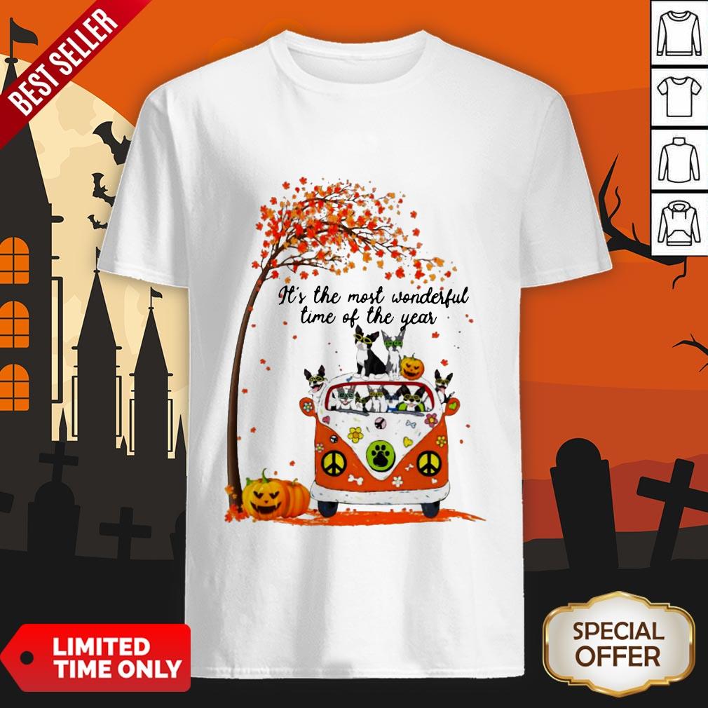 Halloween Bosties Pumpkin It’s The Most Wonderful Time Of The Year Shirt