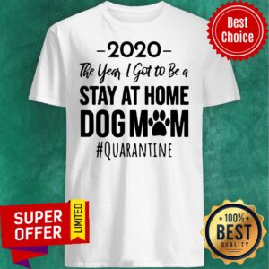 Vintage 2020 The Year I Got To Be A Stay At Home Dog Mom Quarantine Shirt