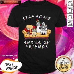 Hot Pets Stay Home And Watch Friends Cartoon COVID-19 Shirt