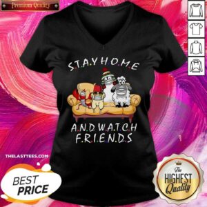 Alternative view of Hot Pets Stay Home And Watch Friends Cartoon COVID-19 Shirt