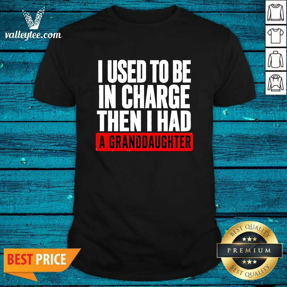 Original I Used To Be In Charge Then I Had A Granddaughter T-Shirt
