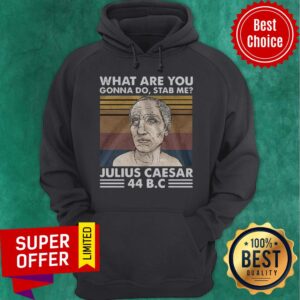 Alternative view of Top What Are You Gonna Do Stab Me Julius Caesar 44 B.C Shirt