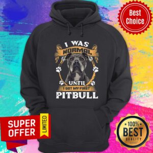 Alternative view of Pitbull I Was Normal Shirt