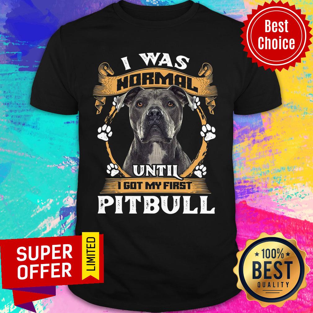 Pitbull I Was Normal Shirt