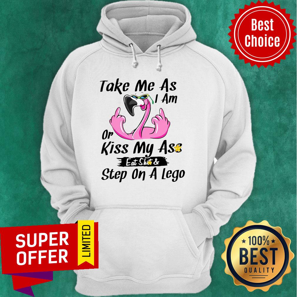 Funny Taken Me As I Am Or Kiss My Ass Eat Shit Step On A Lego Shirt - Image 2