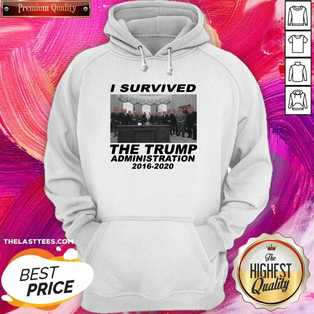 Cute I Survived The Trump Administration 2016 2020 Shirt - Image 2