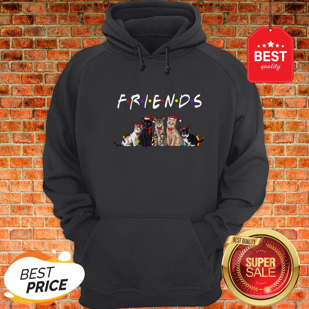 Official Christmas Best Friends Cat Shirt - Image 5