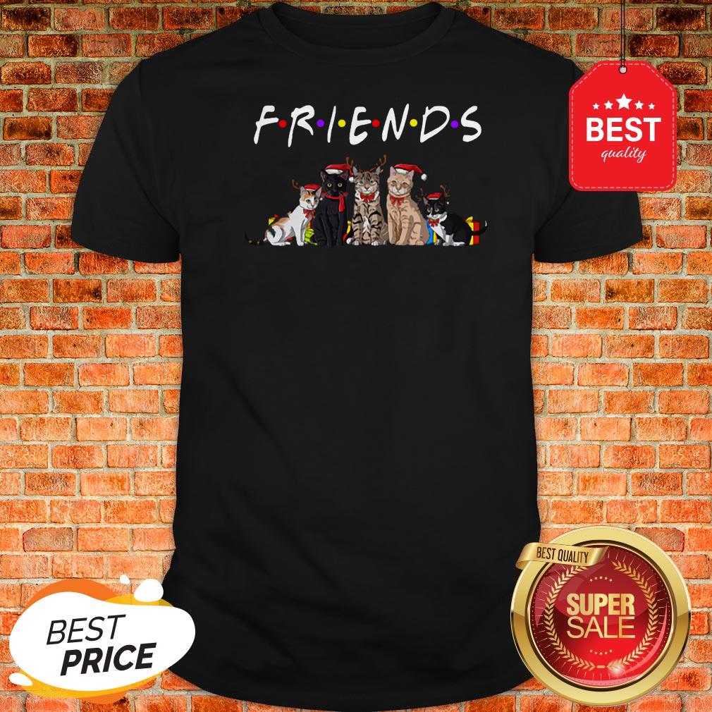 Official Christmas Best Friends Cat Shirt