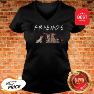 Alternative view of Official Christmas Best Friends Cat Shirt