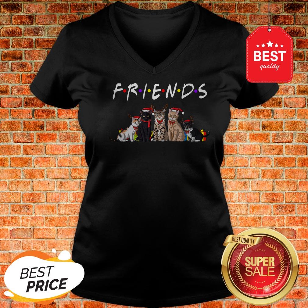 Official Christmas Best Friends Cat Shirt - Image 2
