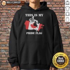 Alternative view of Original This Is My Pride Flag Canada Flag Retro T-Shirt