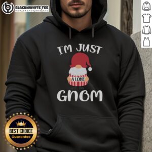 Alternative view of Awesome Valentine Gnome I'm Just A Lone Gnom T-Shirt