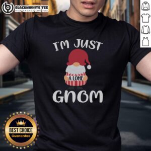Awesome Valentine Gnome I'm Just A Lone Gnom T-Shirt