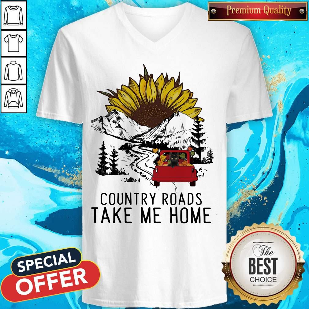 Country Roads Take Me Home Cat Truck Sunflower Shirt - Image 4
