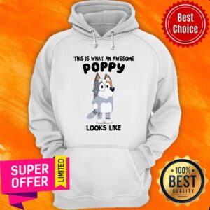 Alternative view of Bandit Heeler This Is What An Awesome Poppy Looks Like Shirt