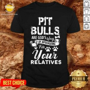 Pit Bulls Are God'S Way Of Apologizing For Your Relatives Hurts Shirt