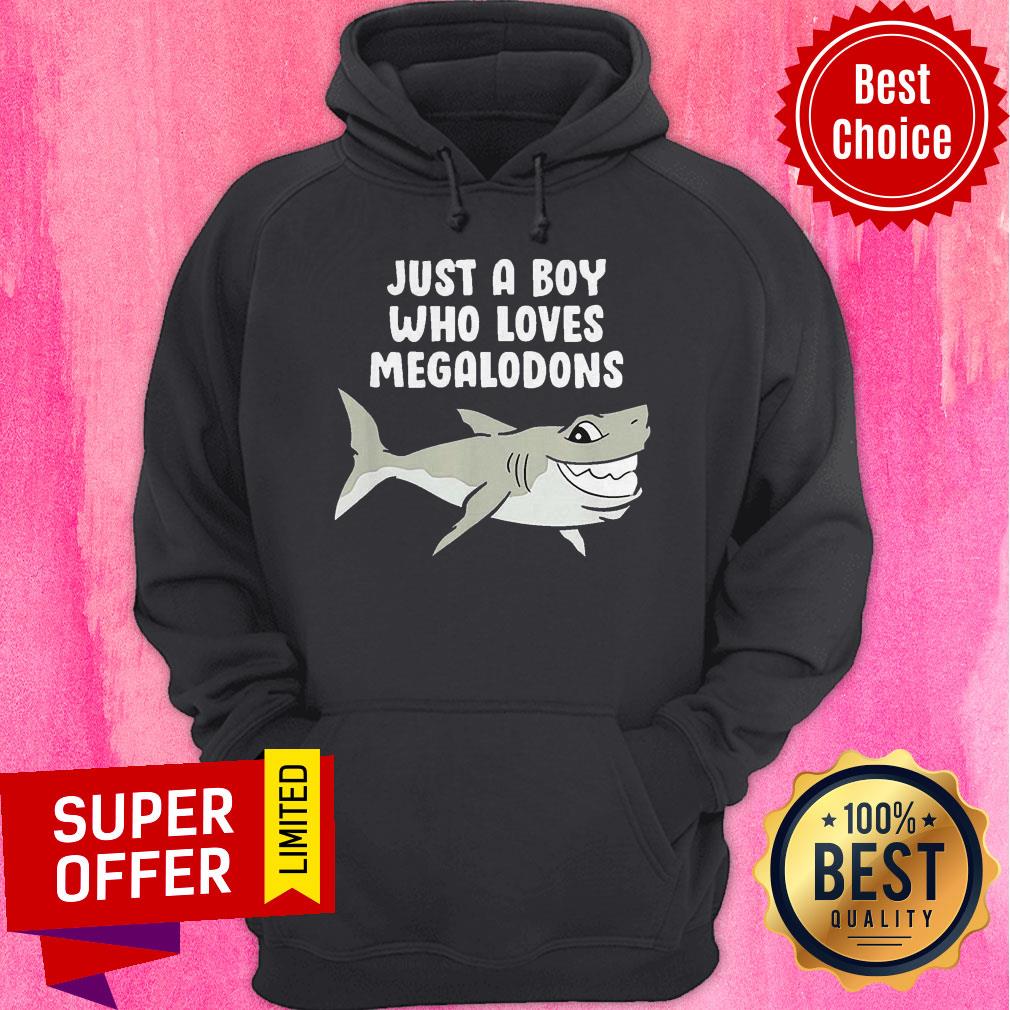Funny Just A Boy Who Loves Megalodons Shirt - Image 3