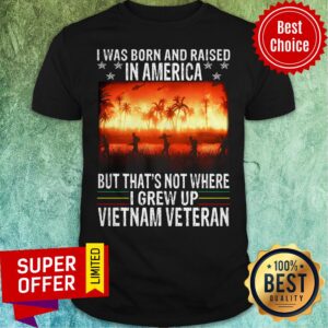 Nice Was Born In Us But Grew Up In Viet Nam Shirt