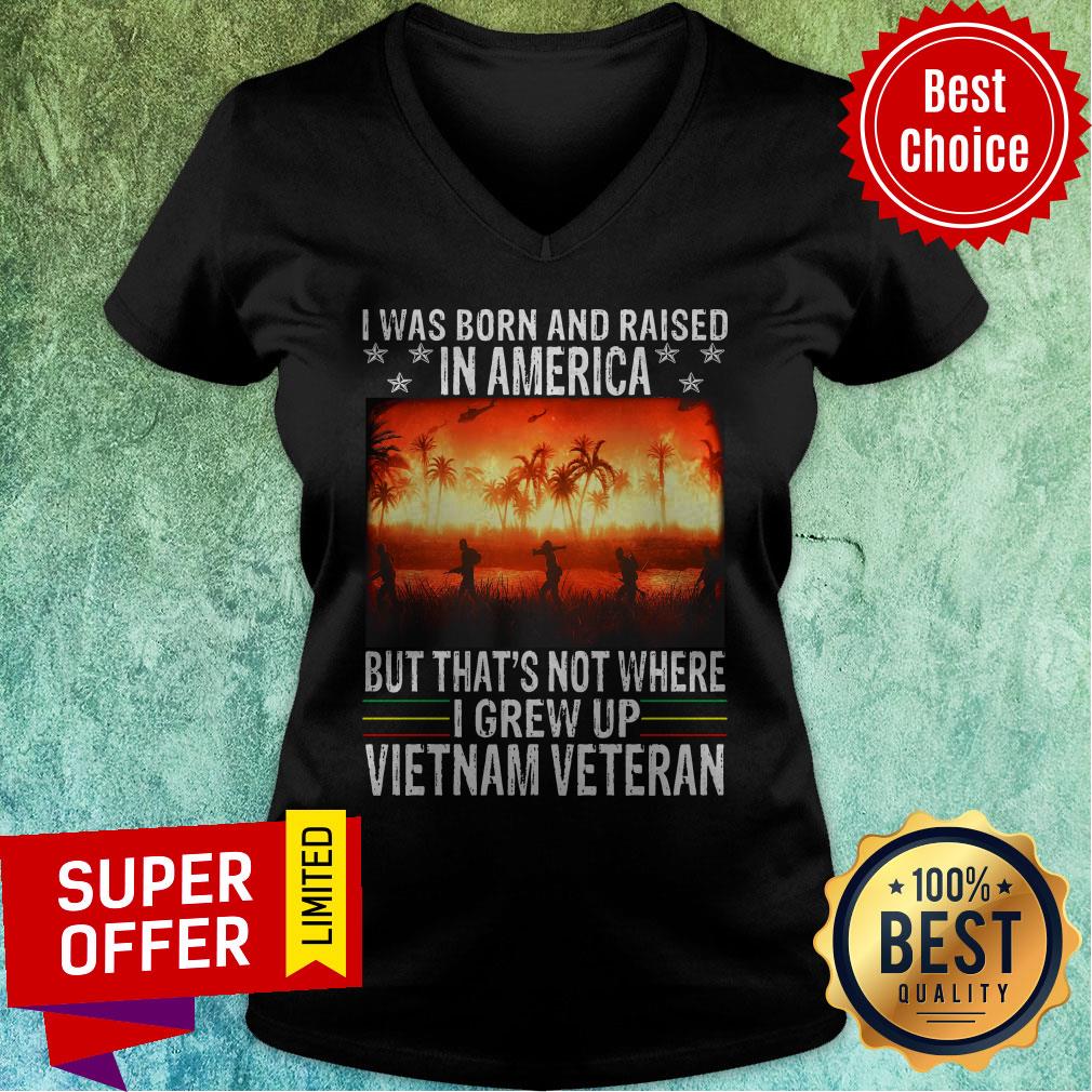 Nice Was Born In Us But Grew Up In Viet Nam Shirt - Image 4