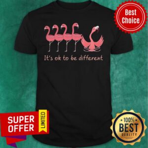 Flamigo Yoga It's Ok To Be Different Shirt