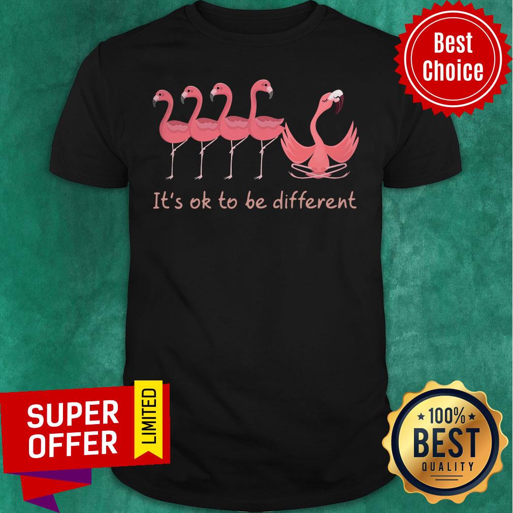 Flamigo Yoga It's Ok To Be Different Shirt