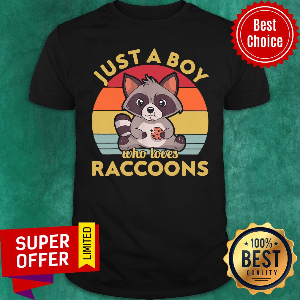 Nice Just A Boy Who Loves Raccoons Vintage Retro Shirt