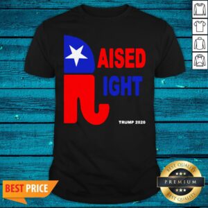 Wonderful Raised Right Trump 2020 Shirt