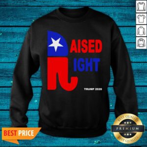 Alternative view of Wonderful Raised Right Trump 2020 Shirt