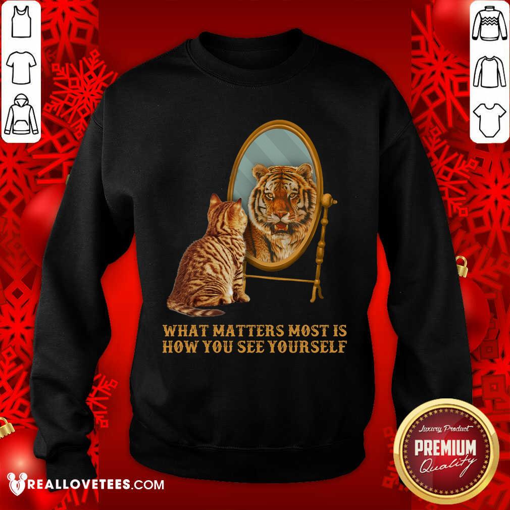 Cat And Tiger What Matters How You See Yourself Shirt - Image 5