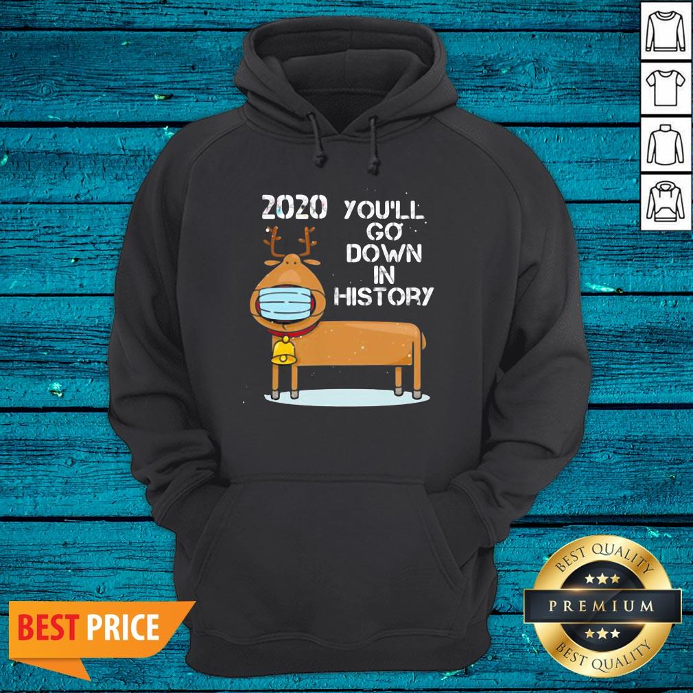 Fantastic 2020 You'll Go Down In History Reindeer Wear Mask Christmas Shirt - Image 3