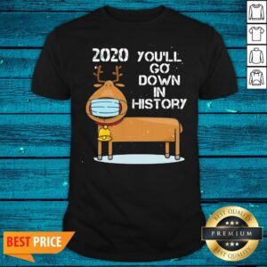 Fantastic 2020 You'll Go Down In History Reindeer Wear Mask Christmas Shirt