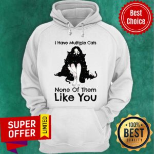 Alternative view of I Have Multiple Cats None Of Them Like You Shirt