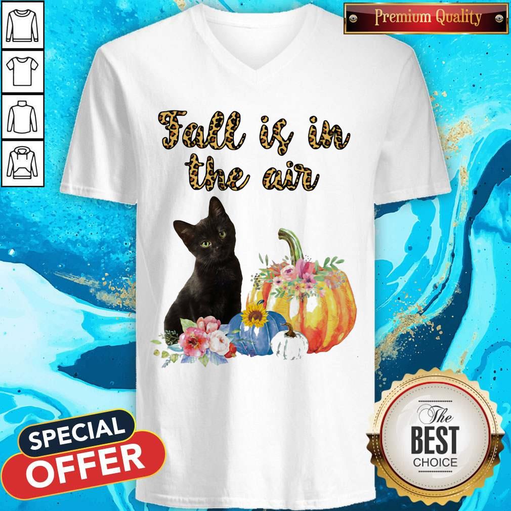 Official Fall Is In The Air Cat Pumpkin Flower Shirt - Image 4