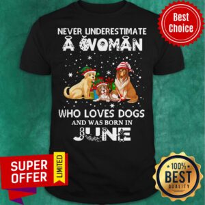 Never Understimate A Woman Who Loves Dogs And Was Born In June Shirt