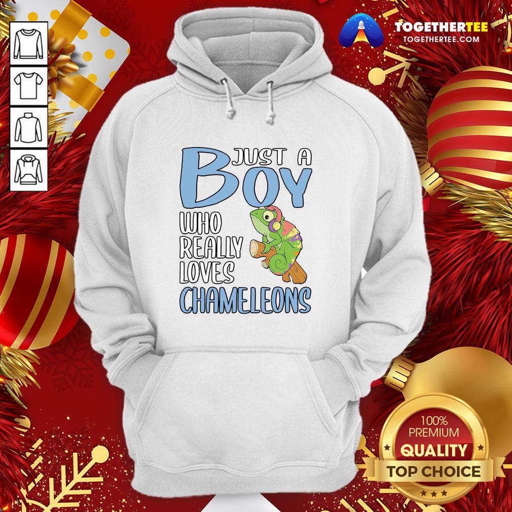 Colorful Just A Boy Who Really Loves Chameleons Shirt - Image 5