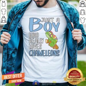 Colorful Just A Boy Who Really Loves Chameleons Shirt