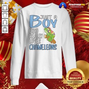 Alternative view of Colorful Just A Boy Who Really Loves Chameleons Shirt