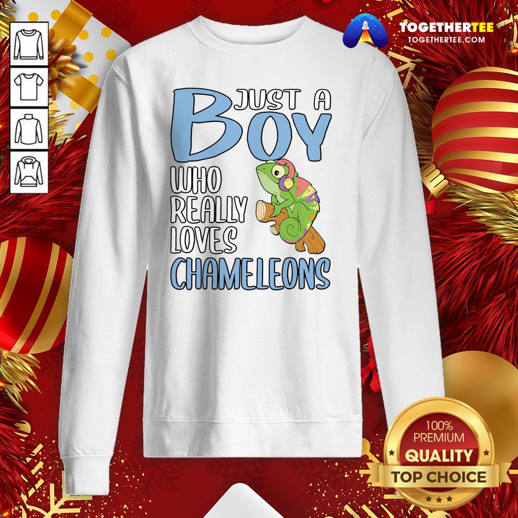 Colorful Just A Boy Who Really Loves Chameleons Shirt - Image 2
