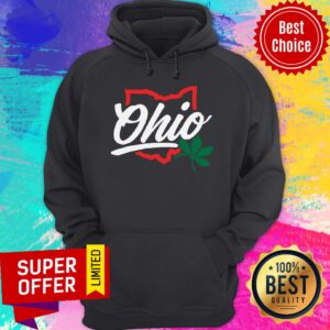 Alternative view of Funny Script Ohio Shirt