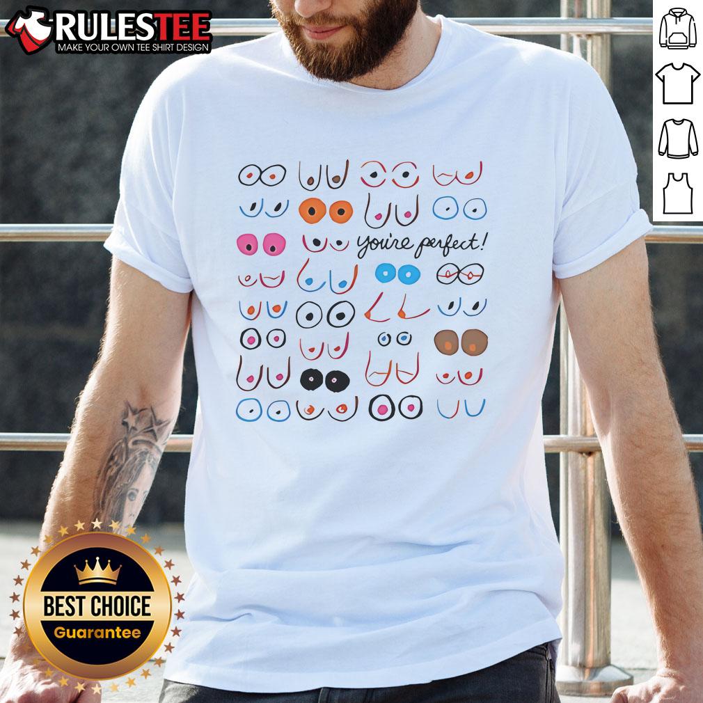 Funny Boobs You're Perfect Meme T-Shirt