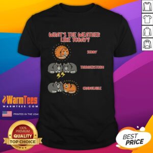 Good What's The Weather Like Today Meoweather T-Shirt