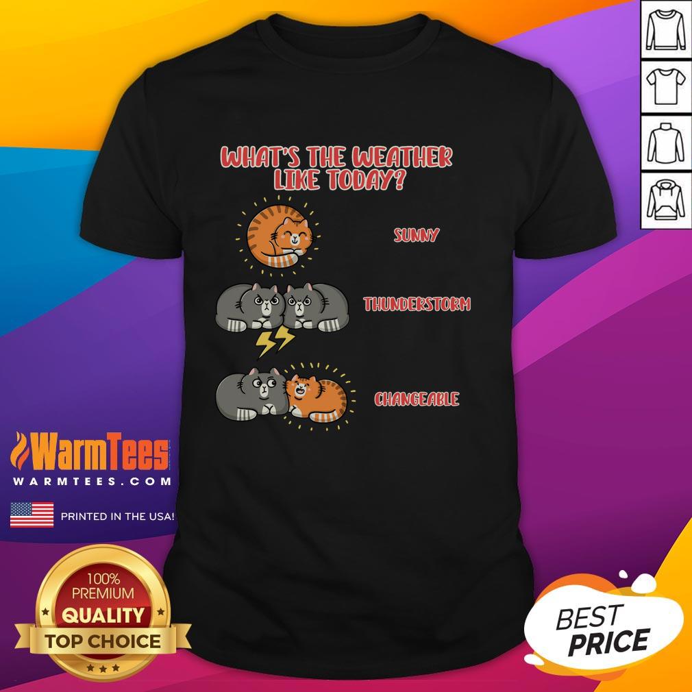 Good What's The Weather Like Today Meoweather T-Shirt