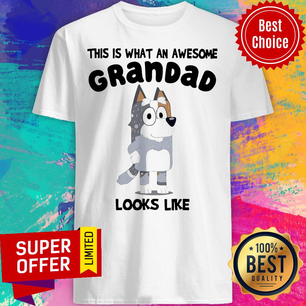 Bandit Heeler This Is What An Awesome Grandpa Bandit Heeler Looks Like Shirt